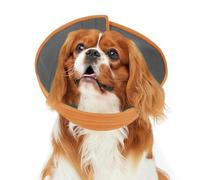 Inspack Soft Dog Cone Collar Alternative, E Cones for Small Dogs/Cat/Puppy to Stop Licking after Surgery, Comfortable All Paws Comfy Elizabethan Collars, Neuter Recovery Ecollars of Shame Alternatives