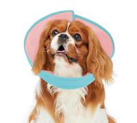 Inspack Soft Dog Cone Collar Alternative, E Cones for Small Dogs/Cat/Puppy to Stop Licking after Surgery, Comfortable All Paws Comfy Elizabethan Collars, Neuter Recovery Ecollars of Shame Alternatives