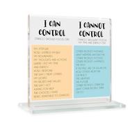 Inspiration Office Acrylic Sign Things I Can't Control Office Decor Sign, Thank You Gifts for Woman Friends Nurse Coworker Decorative Desk Accessories Table Shelf Plaque Signs