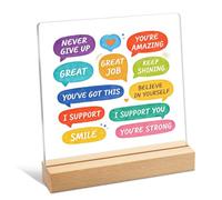 Inspirational Acrylic Plaque Never Give Up, Positive Affirmation Desk Decor for Office, Encouragement Gifts for Friends Coworkers, Motivational Sign for Home Workplace