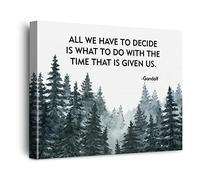 Inspirational All We Have to Decide is What to Do with the Time That is Given Us Canvas Poster Painting Wall Art Watercolor Print Artwork Framed Ready to Hang for Home Office Decor 12 x 15 inch