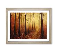 Inspirational Autumn Forest Framed Wall Art Print A2 Oak