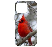 Inspirational Gift Heaven Sends Birds A Sign Cardinal Case for iPhone 16 Pro