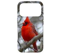 Inspirational Gift Heaven Sends Birds A Sign Cardinal Case for iPhone 17 Pro