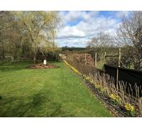 Inspirational Gifting 1-2Ft Hedge Plant Native Mix Best Value Bare Root Tree Saplings - Pack Of 10