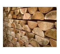 Inspirational Gifting 10 X Half Round Wooden Posts Hc4 Pressure Treated 1.8M Tall X 100mm Wide