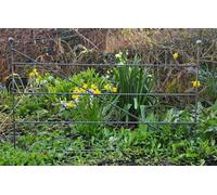Inspirational Gifting Decorative Metal Fence In A Grey Rustic Metal