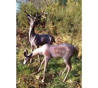 Inspirational Gifting Extra Large Stag & Doe Deer Sculptures Garden Ornaments in Bronze Inspirational Gifting Bronze