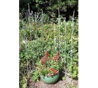 Inspirational Gifting Pair Of Verdigris Bird And Leaf Trellis