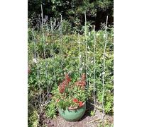 Inspirational Gifting Pair of Verdigris Bird & Leaf Trellis in Green Inspirational Gifting Green