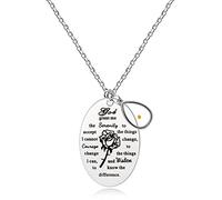 Inspirational God Grant Me Serenity Prayer Necklace Oval Pendant Religious Courage Jewelry with Mustard Seed Y827, Metal, resin
