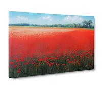 Inspirational Poppy Field Flowers Canvas Wall Art Print 30x20 Inch