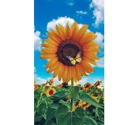 Inspirational Quotes Jigsaw Puzzle, Sunflower Butterfly Wooden Jigsaw Puzzles for Family Gathering Activities Educational Games Large Puzzle Game Toys Gift_500pcs