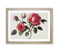 Inspirational Rose Flowers WHT Framed Print | A3 Oak Framed Wall Art | Ready to Hang | Modern Floral Picture | Living Room Bedroom Lounge Office
