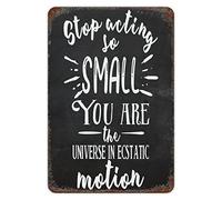 Inspirational Sign Tin Sign Stop Acting So Small, You are The Universe in Ecstatic Motion Metal Plaque Funny Humor Theme Art Shabby Chic Metal Wall Decor Art for Bar Kitchen Hotel Front Door 8x12in