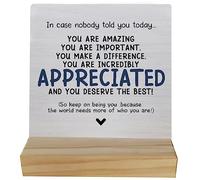 Inspiring Quote You are Appreciated and You Deserve the Best Table Wood Plaque Sign,Self Affirming Wooden Stand Wood Sign Desk Decor for Home Dorm Table Shelf,Inspiring Gifts for Women Men Students