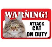 Instant Gifts Dog Signs Maine Coon Cat Pet Sign - Laminated Card