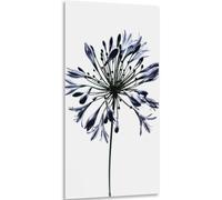 Instarry 5D Diamond Painting Kits Large Size Full Drill Beautiful Flowers Mosaic Crystal Embroidery Wall Decorations for Bedrooms 31.5x15.7 inch
