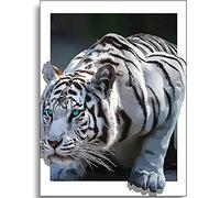 Instarry 5D DIY Diamond Painting Kits for Adults and Kids Full Drill White Tiger Mosaic Rhinestone Embroidery Wall Decorations for Bedrooms 35.4x23.6 inch