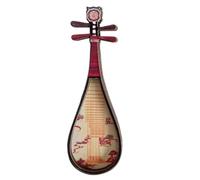 Instrument Magnets, Musical Instrument Bar Magnet, Chinese Style Miniature Musical Instrument Magnetic Stick, Instrument Fridge Magnet for Fridge, Locker, Doll House, Home Decoration (Pipa)