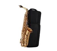Instrument saxophone Alto Sax Double Reinforced E-Flat Beginner Saxophone(Double-reinforced)