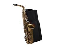 Instrument saxophone Alto Sax Double Reinforced E-Flat Beginner Saxophone(Vintage bronze)
