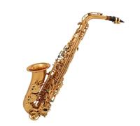 Instrument saxophone Alto Saxophone Abalone Key Double Key Rib