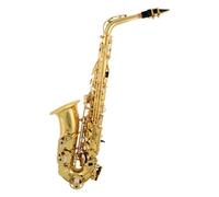 Instrument saxophone Alto Saxophone Carving Craft Needle Spring Blueing Craft