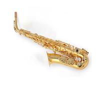 Instrument saxophone Alto Saxophone E-flat for beginners adult exams full and mellow sound