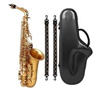 Instrument saxophone Alto Saxophone E-flat Gold Paint Alto Beginner Saxophone Complete Set With Portable Saxophone