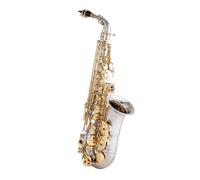 Instrument saxophone Alto Saxophone Nickel Plated Professional Sax Mouthpiece With Case and Accessories
