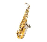 Instrument saxophone Alto Saxophone Nickel Plated Professional Sax Mouthpiece With Case And Accessories(Leather bag)