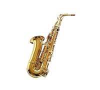 Instrument saxophone Alto Saxophone Professional Sax Mouthpiece With Case And Accessories(Canvas bag)