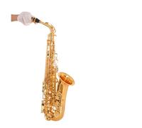 Instrument saxophone Alto Saxophone Wind Instrument E-flat Saxophone Adult Beginner Grade Examination