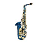 Instrument saxophone Brass Engraved Eb E-Flat Alto Saxophone Sax Abalone Shell Buttons Wind Instrument With Case Gloves