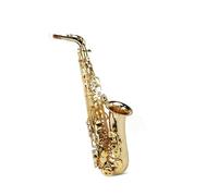 Instrument saxophone Double-key alto saxophone in E-flat for beginners adults and grade examinations