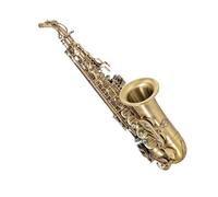 Instrument saxophone Double Tendon Saxophone E-Flat Alto Saxophone Wind Instrument Adult Beginner(Vintage Shakin Saxophone)