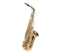 Instrument saxophone Eb Alto Saxophone Brass Lacquered Gold E Flat Sax Cloth Gloves Strap Padded Case Wind Instrument(Black)