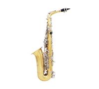 Instrument saxophone Eb Alto Saxophone Brass Lacquered Gold E Flat Sax Musical Woodwind Instrument With Case Mouthpiece Accessorie(Gold)