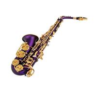 Instrument saxophone Eb Alto Saxophone Unique Matte Black Blue Red Purple Nickel Plated Carved Surface E Flat Instrument Sax(PURPLE)
