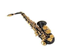 Instrument saxophone Eb Alto Saxophone Unique Matte Black Red Blue Purple Plated Carved Surface E Flat Instrument(Black)