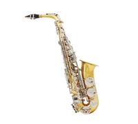 Instrument saxophone Glold Lacquer Silver Key Full Set SaxophoneAlto Saxophone E Flat Beginner Saxophone Complete Set