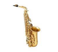 Instrument saxophone Gold Lacquer Full Set Alto Saxophone E Flat Beginner Saxophone Complete Set Abalone Shell