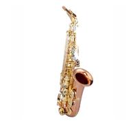 Instrument saxophone Phosphor Bronze Alto E-flat Wind Instrument Beginner Exam Performance Saxophone Roasted Blue Needle Spring
