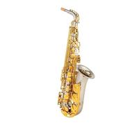 Instrument saxophone Professional Alto Drop E Saxophone Alto Saxophone With Band Mouth Piece Reed Aglet(Canvas bag)