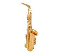 Instrument saxophone Saxophone E-flat Alto Saxophone Wind Instrument Adult Beginner Entry-level Playing Instrument