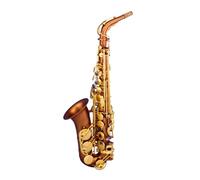 Instrument saxophone Saxophone Instrument Professional Performance Alto E-Flat Hemp Gold Hemp Silver Beginner(Coffee gold)
