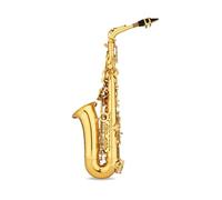 Instrument saxophone Saxophone Musical Instrument Adult Beginners E Flat Alto Saxophone Wind Pipe Self-study Performance