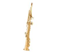 Instrument saxophone Straight Saxophone Alto Saxophone In Bb
