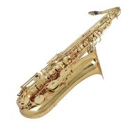 Instrument saxophone Tenor Saxophone B Flat Saxophone Beginner With Updated Portable Case Reed Gloves Neck Strap Stand(Saxophone set)